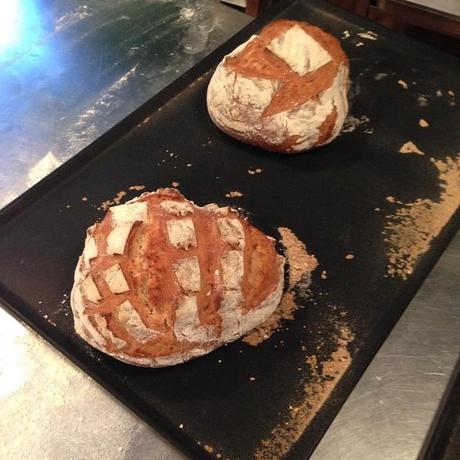 El resultado del taller: pan básico casero.