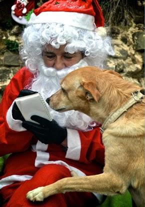 TOP 10 REGALOS DE NAVIDAD ORIGINALES Y SOLIDARIOS TOP 10 REGALOS DE NAVIDAD ORIGINALES Y SOLIDARIOS