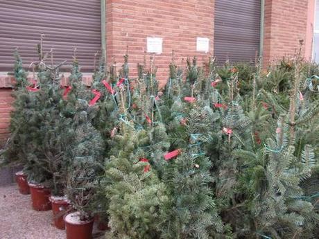 Apostamos por el consumo responsable, y tú? image