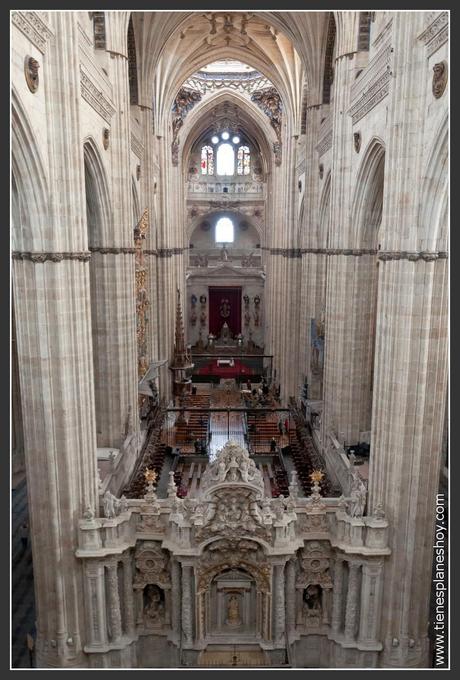 Catedral Nueva de Salamanca