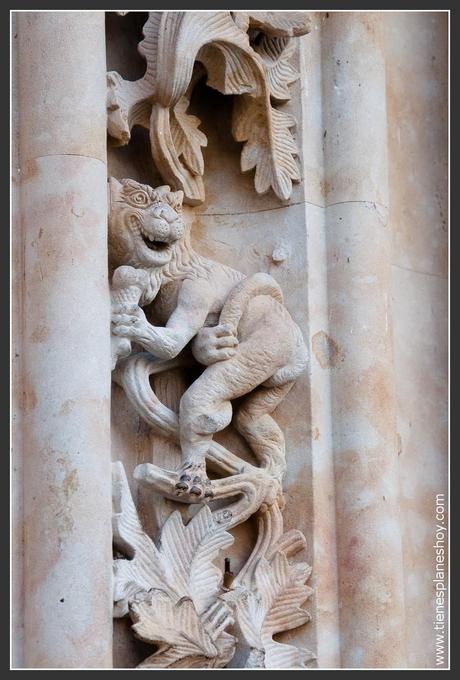 Catedral Nueva de Salamanca