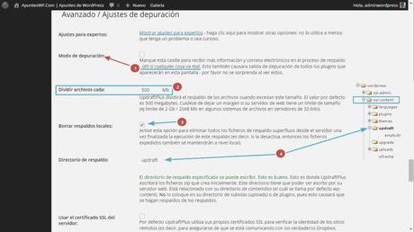 Cómo hacer un backup de WordPress. Herramientas para expertos UpdraftPlus (2)