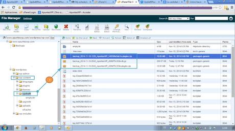 Copia seguridad base datos wordpress. Comprobando donde se guardan los archivos de copia de seguridad en cpanel