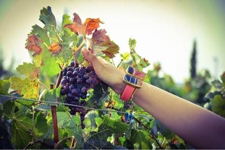 España y Mexico unidos con Esdor y El roperito de Ferni España y Mexico unidos con Esdor y El roperito de Ferni