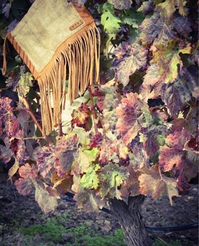 España y Mexico unidos con Esdor y El roperito de Ferni España y Mexico unidos con Esdor y El roperito de Ferni