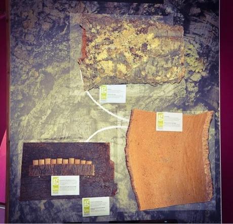 España y Mexico unidos con Esdor y El roperito de Ferni España y Mexico unidos con Esdor y El roperito de Ferni