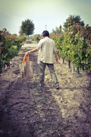 España y Mexico unidos con Esdor y El roperito de Ferni España y Mexico unidos con Esdor y El roperito de Ferni