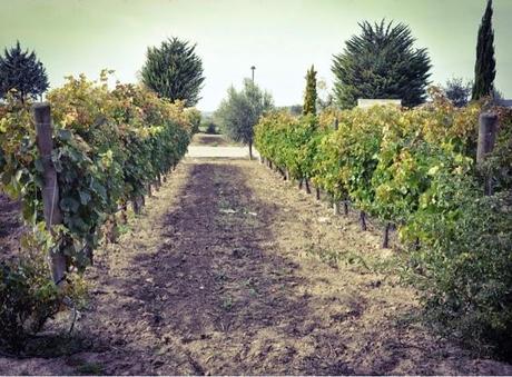 España y Mexico unidos con Esdor y El roperito de Ferni España y Mexico unidos con Esdor y El roperito de Ferni