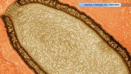 Los hallazgos más increíbles encontrados en los glaciares. Los hallazgos más increíbles encontrados en los glaciares.