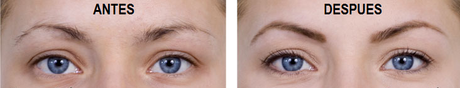 Plantillas para Cejas ,útiles y fáciles de usar Plantillas para Cejas ,útiles y fáciles de usar
