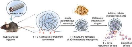 Vacunas inyectables 3D podrían combatir el cáncer y enfermedades infecciosas