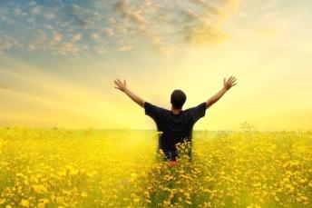 Cómo Crear Abundancia En Tu Vida crear abundancia
