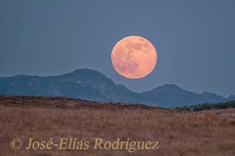 La Luna