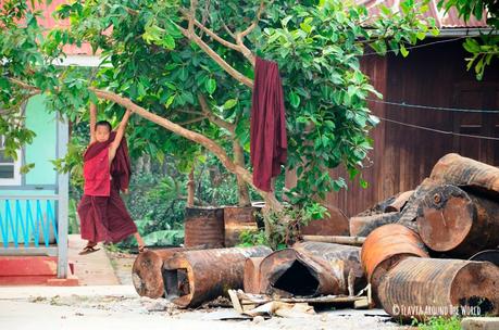 Monje novicio birmano jugando en un árbol en Kalaw