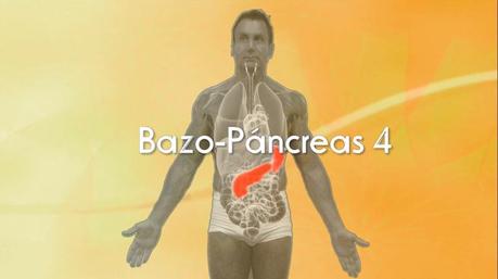 Punto de Acupuntura Bazo Páncreas 4 BP-4 Bazo Páncreas 4 BP-4