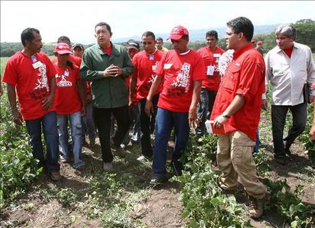 TSJ anula Carta Agraria entregada por Presidente Chávez a Comuna El Maizal Oligarquía terrateniente demuele el legado de Chávez.