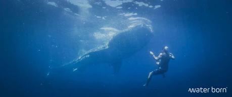 Water Born Episodio 3 | To Give Is To… Water Born 3