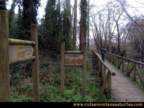 Ruta Artedo, Lamuño, Valsera: Camino de la playa de la Concha de Artedo