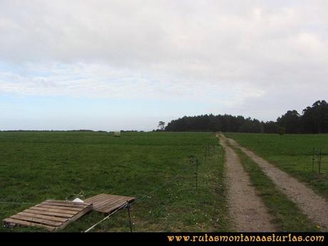 Ruta Artedo, Lamuño, Valsera: Pradera en Lamuño