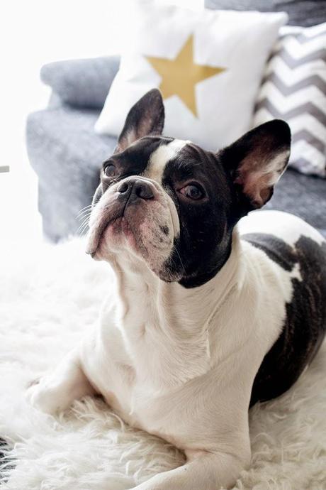 Primeros detalles de navidad en nuestro salón! Primeros detalles de navidad en nuestro salón!