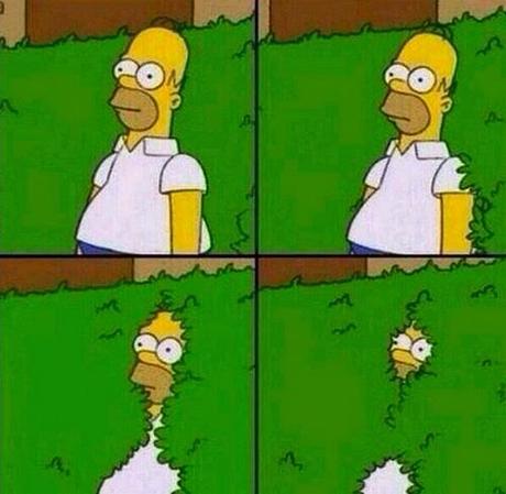 25 pifiadas de los primeros días en clínica homer-seto