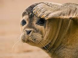 Buscando propuestas de lectura para 2015 Buscando propuestas de lectura para 2015