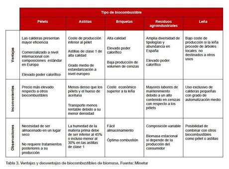 Ventajas y desventajas de biocombustibles de biomasa