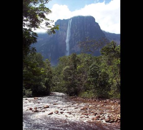 Treking through the jungle to Angel Falls