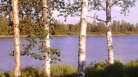 Llegando a Ninguna Parte sodankRioArboles