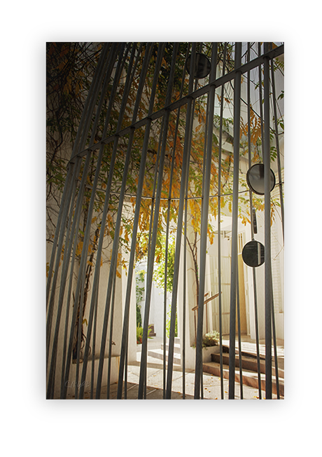 Otoño II –Matices. Patios. Detalles- Otoño II –Matices. Patios. Detalles-