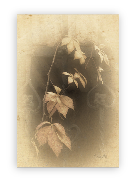 Otoño II –Matices. Patios. Detalles- Otoño II –Matices. Patios. Detalles-