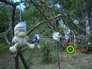 Pájaros espantapájaros xxxxxxxx