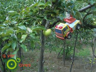 Pájaros espantapájaros xxxxxxxxxx