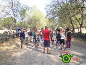 Pájaros espantapájaros xxxxxxxxxxxxxx