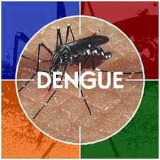 Descubren Anticuerpo que Neutraliza al Dengue