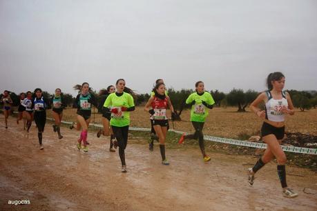 XXXIII CROSS  NACIONAL  CASTELLANO-MANCHEGO