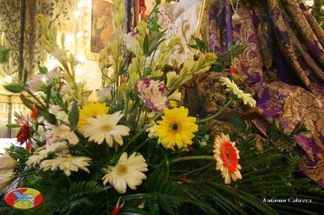 Galería de la Peregrinación de la Divina Pastora de Utrera al Santuario de Consolación