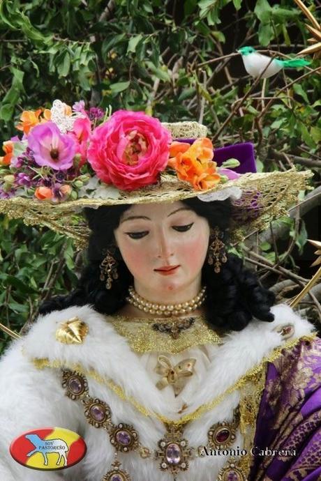 Galería de la Peregrinación de la Divina Pastora de Utrera al Santuario de Consolación