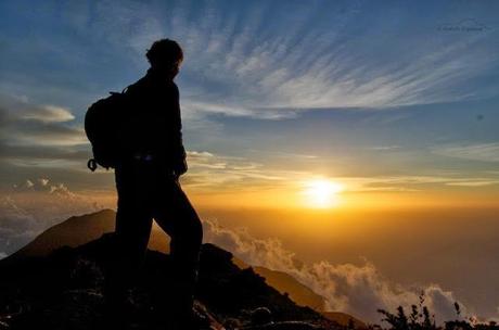 La Montaña Mágica La Montaña Mágica