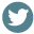 Diy Bola de nieve Twitter