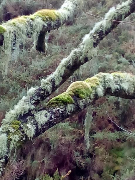 Belén de cumbres, no todo va a ser correr Belén de cumbres, no todo va a ser correr