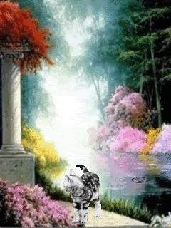 Una gatita llamada Nerea. Una gatita llamada Nerea.
