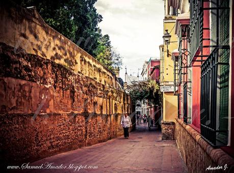 SEVILLA: BARRIO de SANTA CRUZ (Judería)