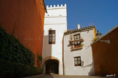 SEVILLA: BARRIO de SANTA CRUZ (Judería)