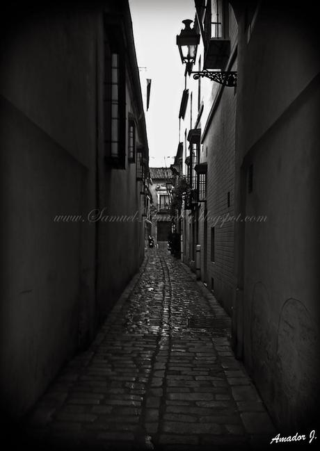 SEVILLA: BARRIO de SANTA CRUZ (Judería)