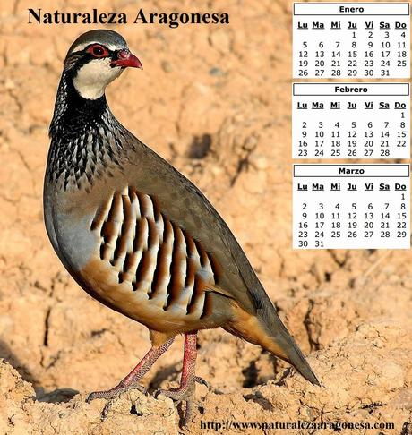 Calendario 2015 - Primer trimestre Calendario 2015 - Primer trimestre