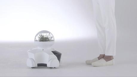 Patin, El Nuevo Robot Asistente del Hogar Patin, El Nuevo Robot Asistente del Hogar