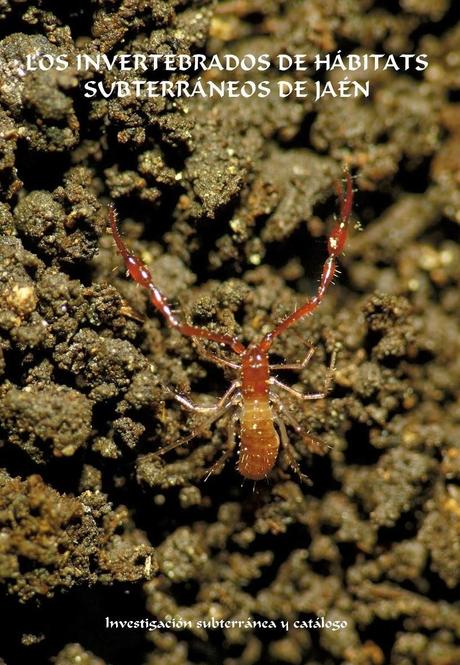 Nuevo concurso Bioespeleológico Nuevo concurso Bioespeleológico