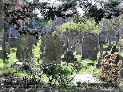 Thriller y el M.N.D.F Thriller y el M.N.D.F