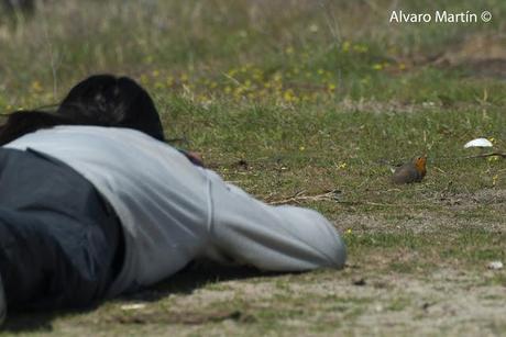 Embalse de Arrocampo, Saucedilla (Caceres) Embalse de Arrocampo, Saucedilla (Caceres)